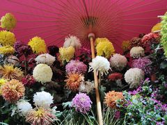 -杭州植物园