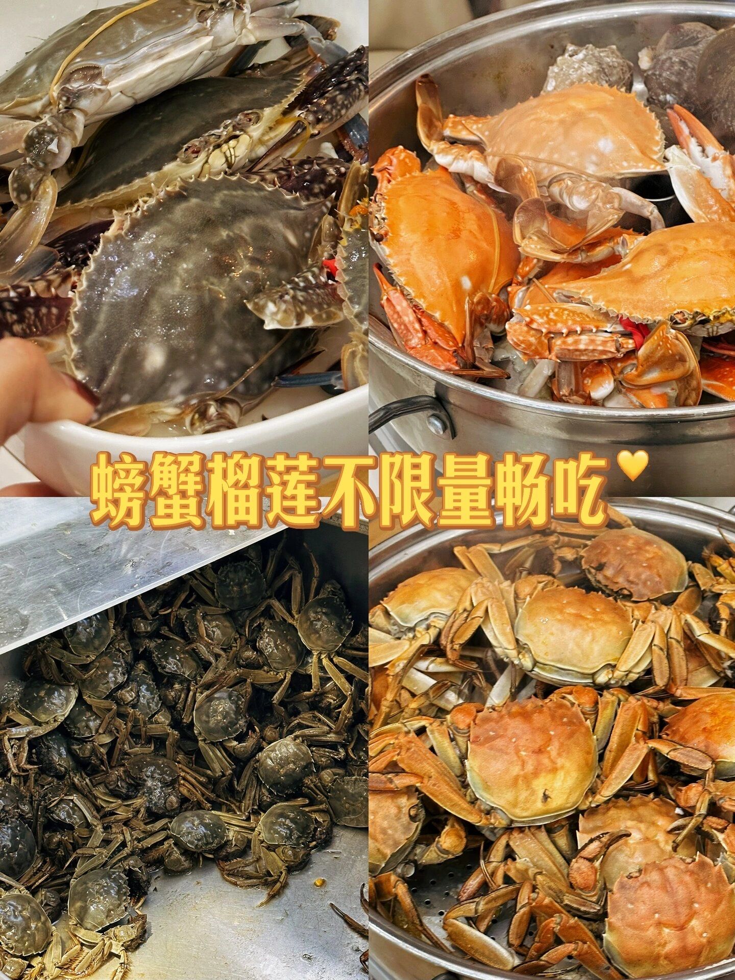 京城自助很多家,但是螃蟹和榴莲都不限量畅吃的也就这家啦!