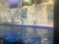 -华夏文旅海洋公园