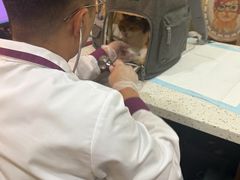 -宠爱国际动物医院·消化内科·心肾内科·ISFM猫友好(望京店)