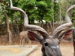 -清迈夜间动物园