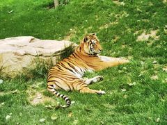 -北京野生动物园