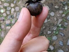 -昆明市金殿名胜区