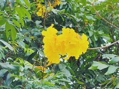 -南国桃园旅游度假区