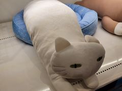 -NITORI 宜得利家居(上海金桥啦啦宝都店)