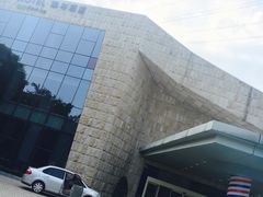 -深圳东部华侨城瀑布酒店