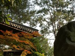 -唐风温泉