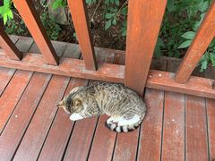 -崂山九水游览区
