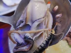 -千岛蚝高压锅生蚝·人参火锅(白云万达店)