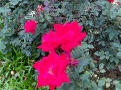 -人民公园(罗湖区)