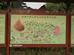-安徽大青山野生动物世界