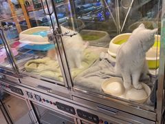 -转角宠物(转塘方家苑店)
