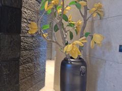 -清远熹乐谷温泉度假酒店