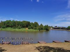 -宁波杭州湾国家湿地公园