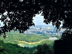 -阳台山森林公园
