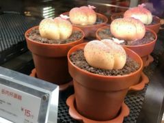 豆乳盒子-85度C(苏州平江万达店)