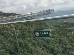 -呀诺达热带雨林