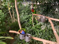 -南宫五洲植物乐园