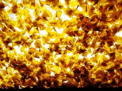 -食膳公园包子铺(烈士公园店)