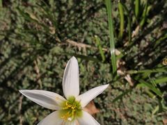 -白塘生态植物园