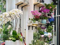 -FEI FEI FLOWER鲜花店·气球派对·宝宝宴布置(虹口德必运动Loft店)