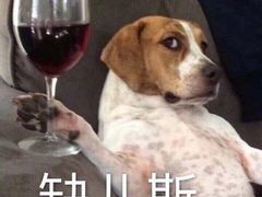 -茶颜悦色(金茂览秀城LG层外街店)