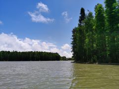 -上海海湾国家森林公园