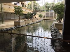 -上海外滩茂悦大酒店