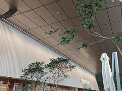 -tea'stone (万象天地店)
