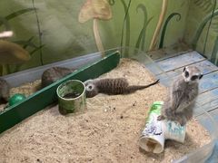 -广州长隆野生动物世界