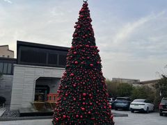 -上海崇明金茂凯悦酒店