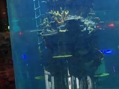 -青岛嘉年华主题乐园