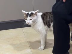 -玉椰林甜品店(创始店)