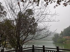 -桃花岭景区