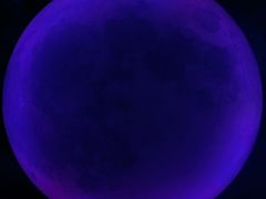 -天津梵高星空艺术馆(天河城旗舰店)