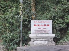 -黔灵山公园