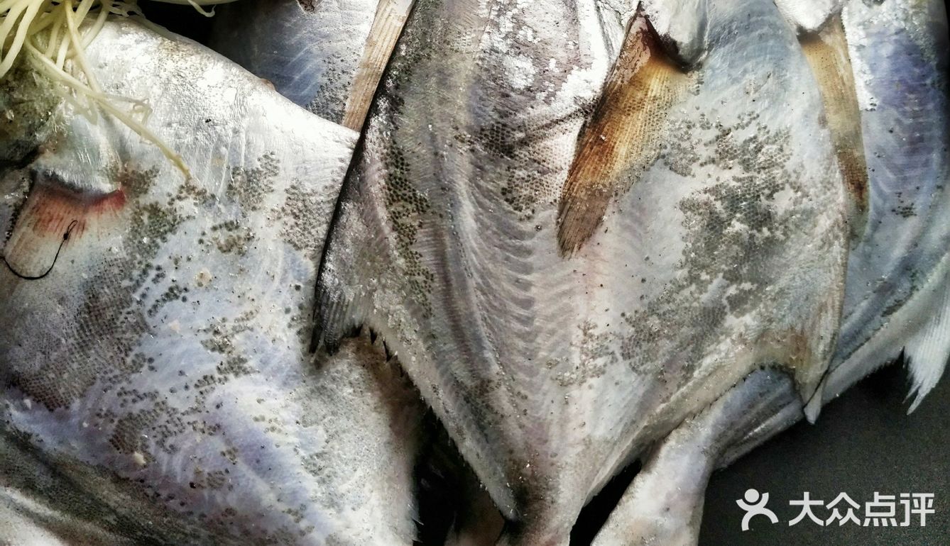 石浦海鲜快递