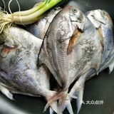 石浦海鲜快递