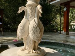 -碧水湾温泉