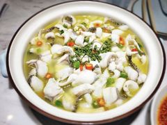 -青花椒花椒鱼(合生汇店)