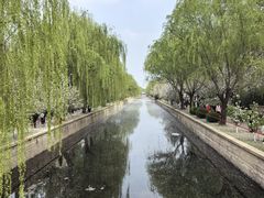 -海棠花溪(元大都城垣遗址公园)