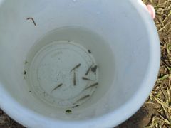 -桤木河湿地公园