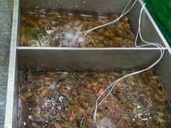 -拙味兄弟龙虾(新香洲店)