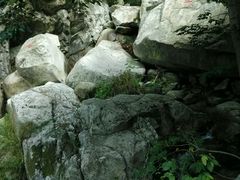 android_upload_pic-洛阳花果山景区