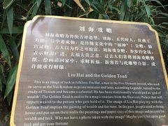 -杭州黄龙洞