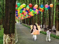 -黄海国家森林公园