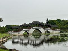 -上海海湾国家森林公园