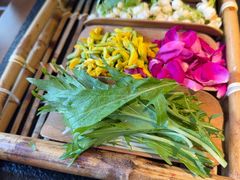 -菌自由丨野生菌火锅特色庭院餐厅(丽江古城店)
