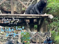 -长鹿旅游休博园