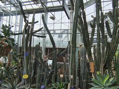 -国家植物园南园